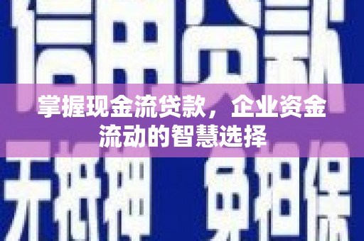 武清掌握现金流贷款，企业资金流动的智慧选择