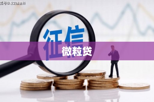 武清微粒贷