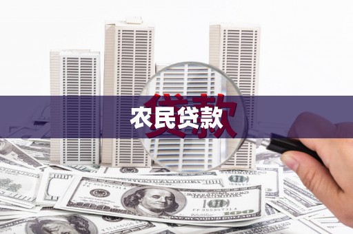 武清农民贷款