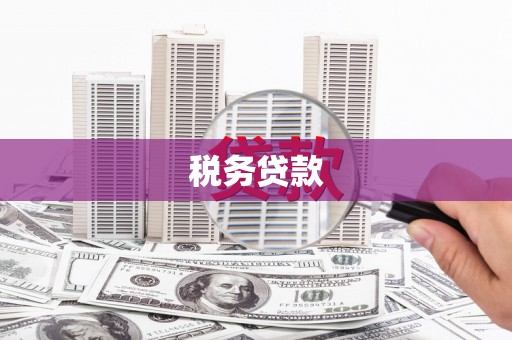 武清税务贷款
