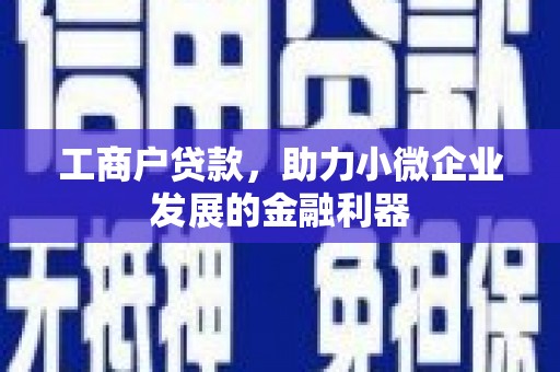 武清工商户贷款，助力小微企业发展的金融利器