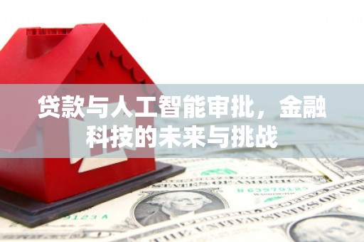 武清贷款与人工智能审批，金融科技的未来与挑战