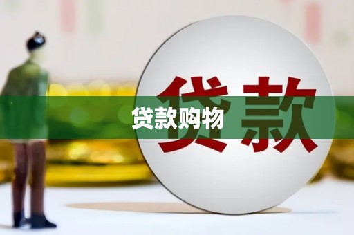 武清贷款购物