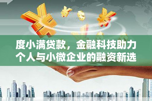 武清度小满贷款，金融科技助力个人与小微企业的融资新选择