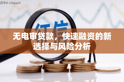 武清无电审贷款，快速融资的新选择与风险分析