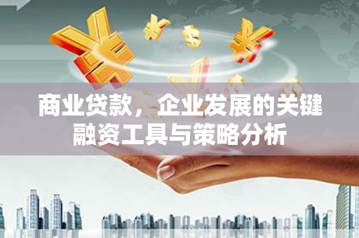 武清商业贷款，企业发展的关键融资工具与策略分析