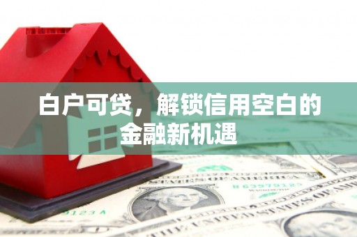 武清白户可贷，解锁信用空白的金融新机遇