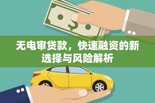 武清无电审贷款，快速融资的新选择与风险解析