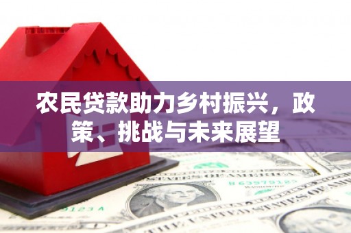 武清农民贷款助力乡村振兴，政策、挑战与未来展望