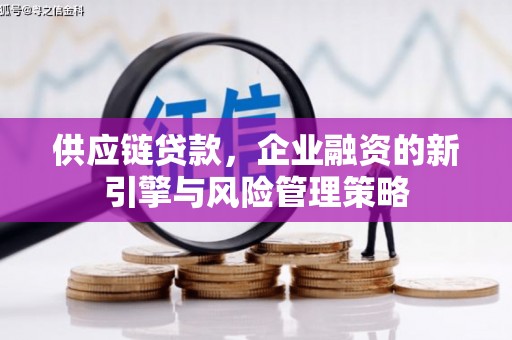 武清供应链贷款，企业融资的新引擎与风险管理策略