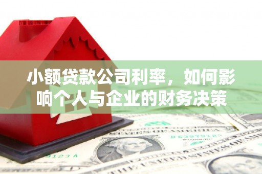武清小额贷款公司利率，如何影响个人与企业的财务决策