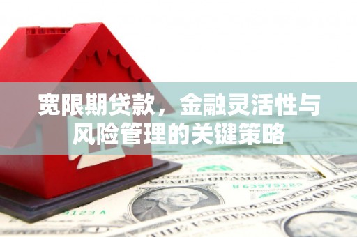武清宽限期贷款，金融灵活性与风险管理的关键策略