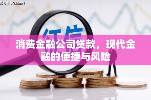 武清消费金融公司贷款，现代金融的便捷与风险