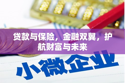 武清贷款与保险，金融双翼，护航财富与未来