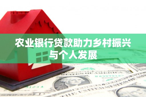 武清农业银行贷款助力乡村振兴与个人发展