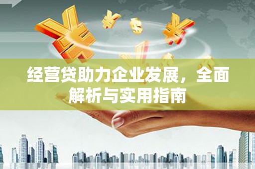 武清经营贷助力企业发展，全面解析与实用指南