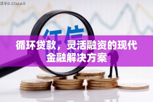 武清循环贷款，灵活融资的现代金融解决方案