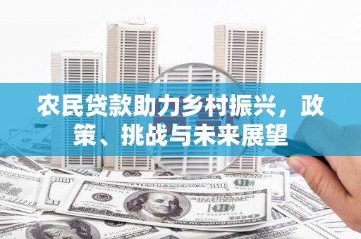 武清农民贷款助力乡村振兴，政策、挑战与未来展望