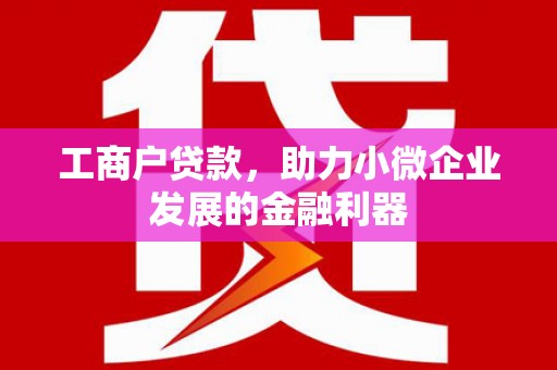武清工商户贷款，助力小微企业发展的金融利器