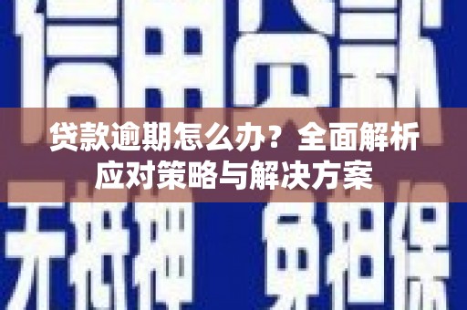 武清贷款逾期怎么办？全面解析应对策略与解决方案