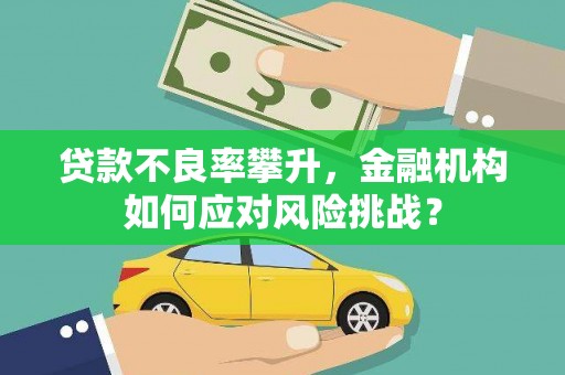 武清贷款不良率攀升，金融机构如何应对风险挑战？