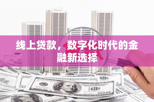 武清线上贷款，数字化时代的金融新选择
