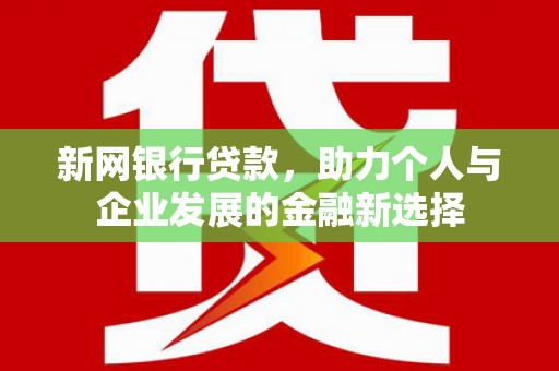 武清新网银行贷款，助力个人与企业发展的金融新选择