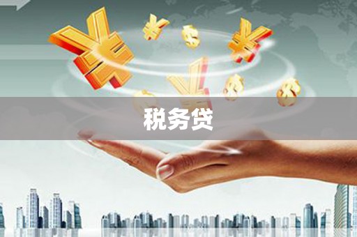 武清税务贷
