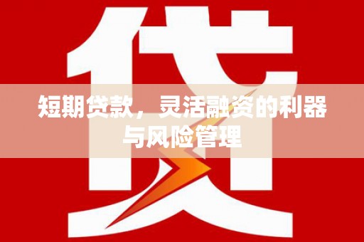 武清短期贷款，灵活融资的利器与风险管理