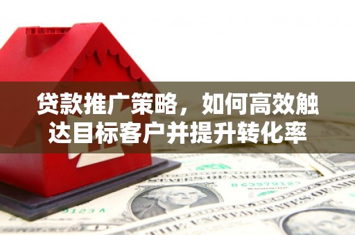 武清贷款推广策略，如何高效触达目标客户并提升转化率