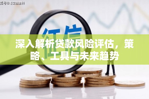 武清深入解析贷款风险评估，策略、工具与未来趋势
