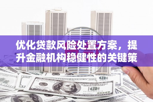武清优化贷款风险处置方案，提升金融机构稳健性的关键策略