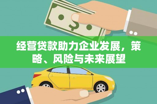 武清经营贷款助力企业发展，策略、风险与未来展望