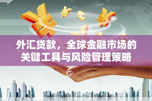 武清外汇贷款，全球金融市场的关键工具与风险管理策略