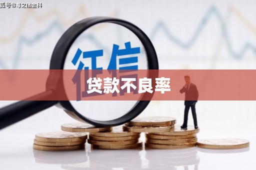 武清贷款不良率