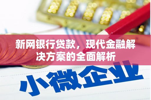 武清新网银行贷款，现代金融解决方案的全面解析