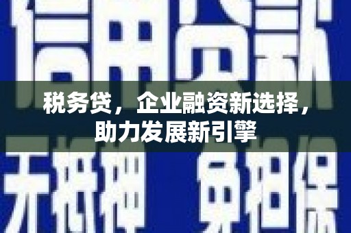 武清税务贷，企业融资新选择，助力发展新引擎