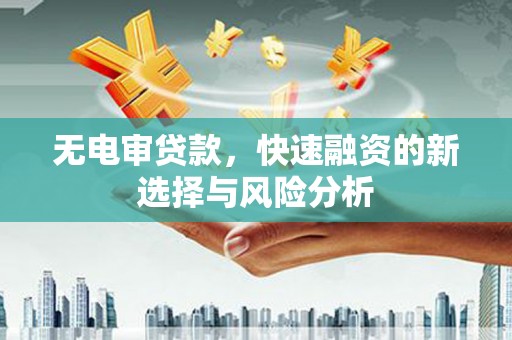 武清无电审贷款，快速融资的新选择与风险分析