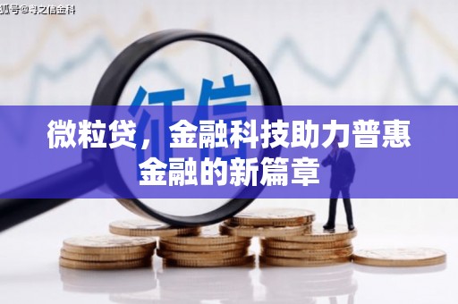 武清微粒贷，金融科技助力普惠金融的新篇章