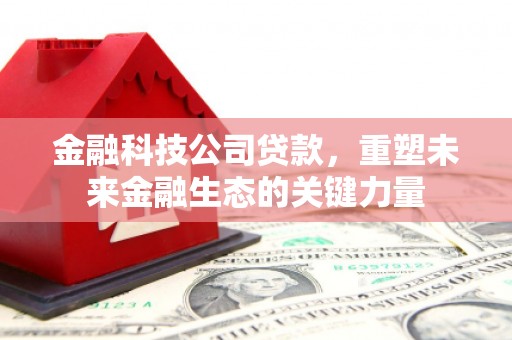 武清金融科技公司贷款，重塑未来金融生态的关键力量
