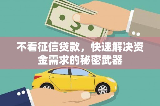 武清不看征信贷款，快速解决资金需求的秘密武器