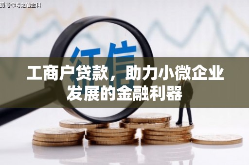 武清工商户贷款，助力小微企业发展的金融利器
