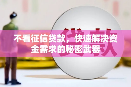 武清不看征信贷款，快速解决资金需求的秘密武器