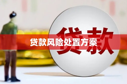 武清贷款风险处置方案
