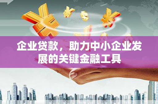 武清企业贷款，助力中小企业发展的关键金融工具