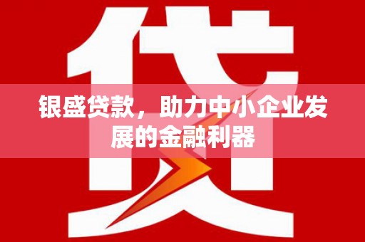 武清银盛贷款，助力中小企业发展的金融利器