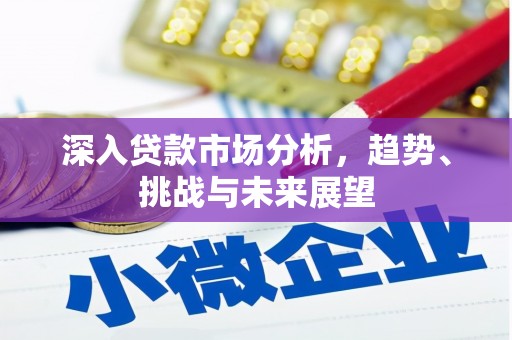 武清深入贷款市场分析，趋势、挑战与未来展望