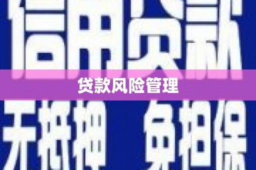 武清贷款风险管理