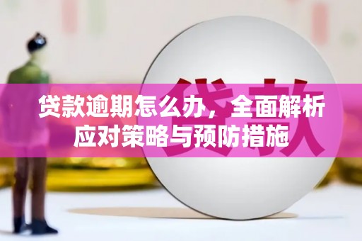 武清贷款逾期怎么办，全面解析应对策略与预防措施