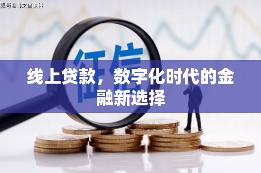武清线上贷款，数字化时代的金融新选择